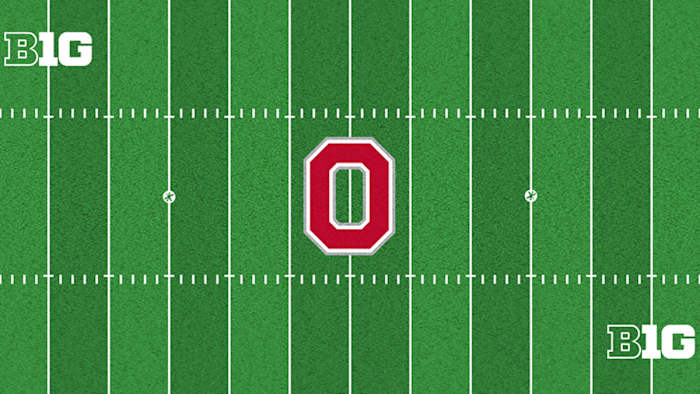 Ohio Stadium New Turf Design 4